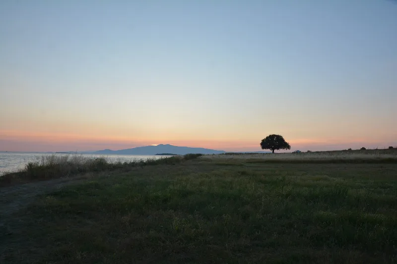 Gryneion (Gryneion) – das Orakel des Apollon bei Aliağa, Izmir