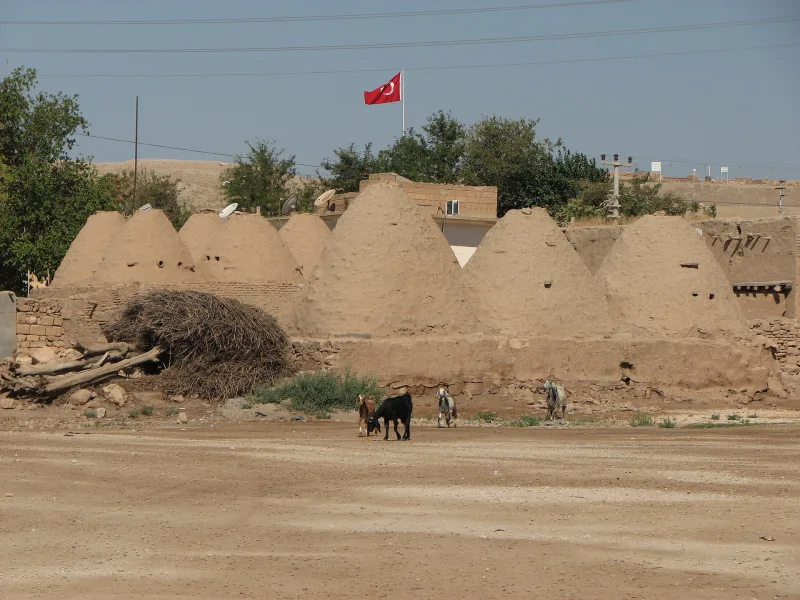 Harran: úlové domy a starobylé město v Şanlıurfa – průvodce po jihovýchodní Turecku