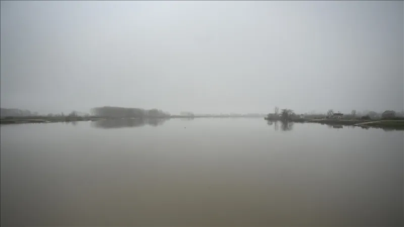 إعلان 