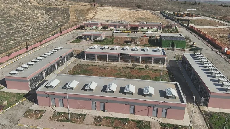 27 Tausend 960 streunende Tiere wurden in Şanlıurfa eingesammelt