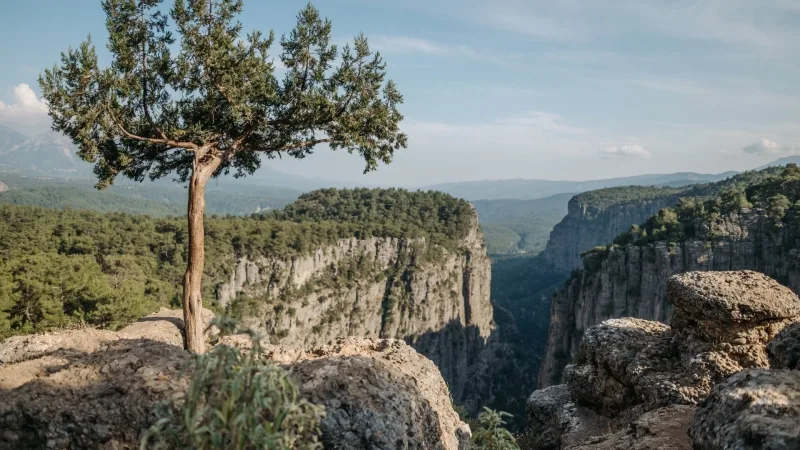 Kaks ühes: Maaliline Tazy Canyon ja Fun Rafting