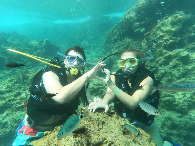 Sea Diving: Veealuse maailma saladused